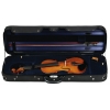 Скрипка "Andantina" с футляром 2113VN, смычком и канифолью
